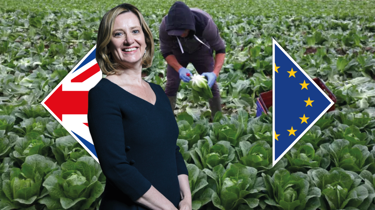 Key EU migrant scheme may not be ready before Brexit: Brexit News for Monday 12 February