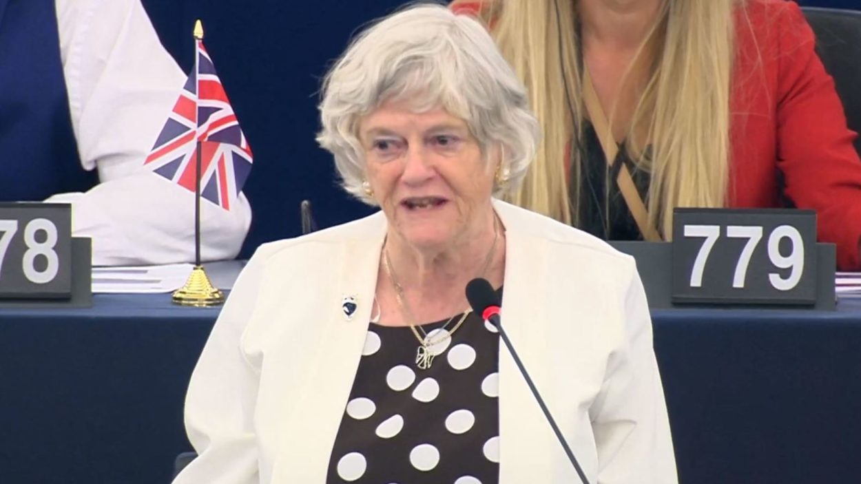 Watching Ann Widdecombe’s debut in Strasbourg from the naughty seats was a sight to behold